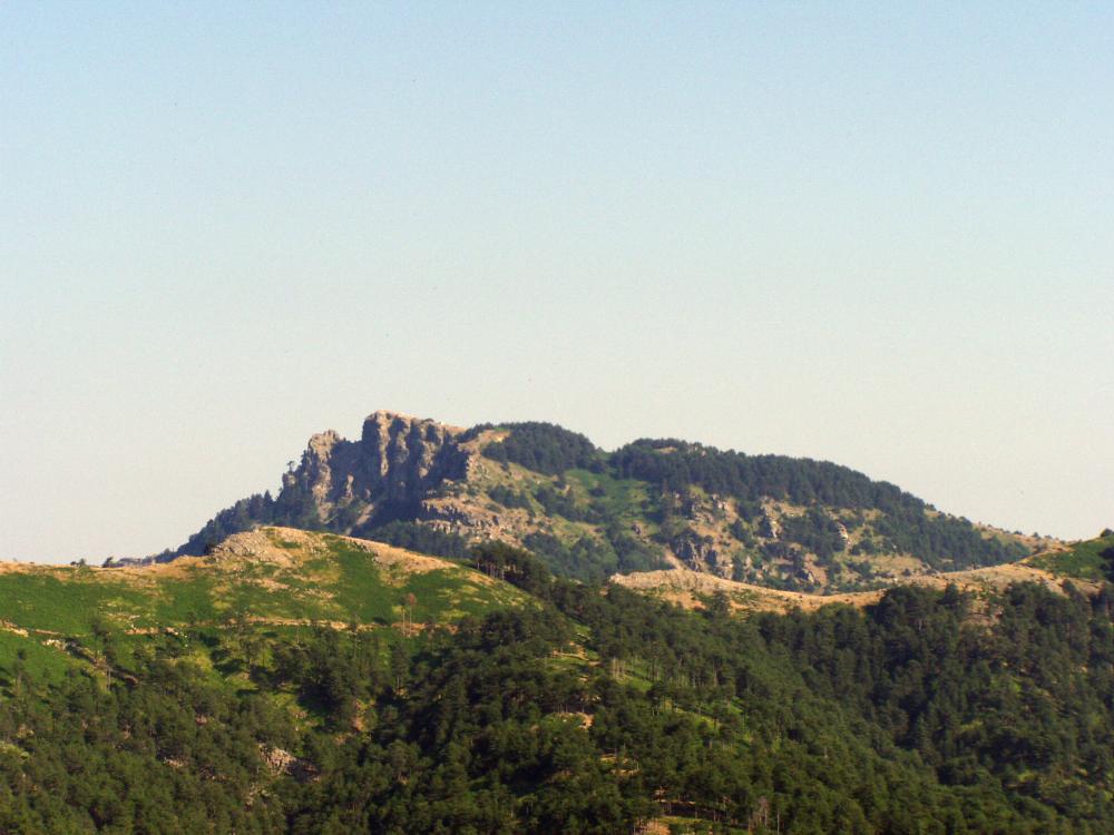 Mt. Ypsarion 1340m asl.