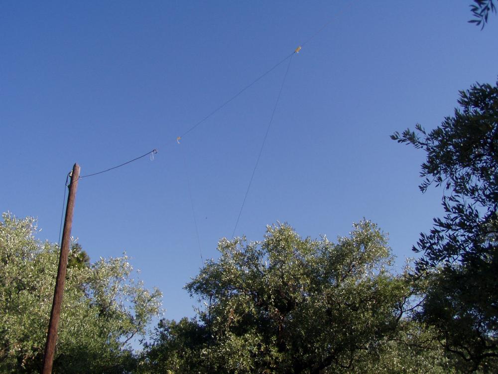 6m wire delta loop